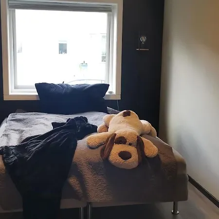 Koselig Naer Sentrum Apartmán *