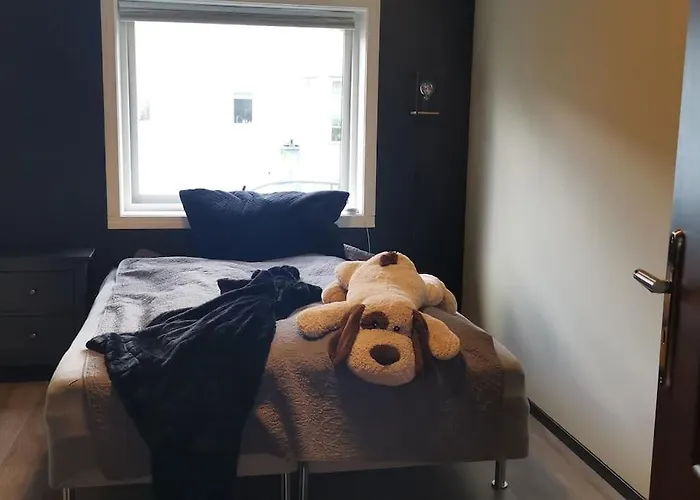 Koselig Naer Sentrum 아파트 *